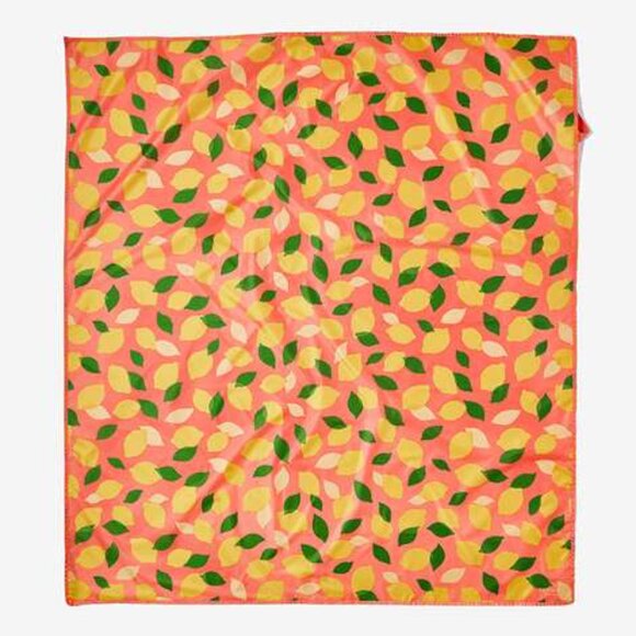 NWT KATE SPADE NEW YORK Picnic Blanket - Picture 1 of 4